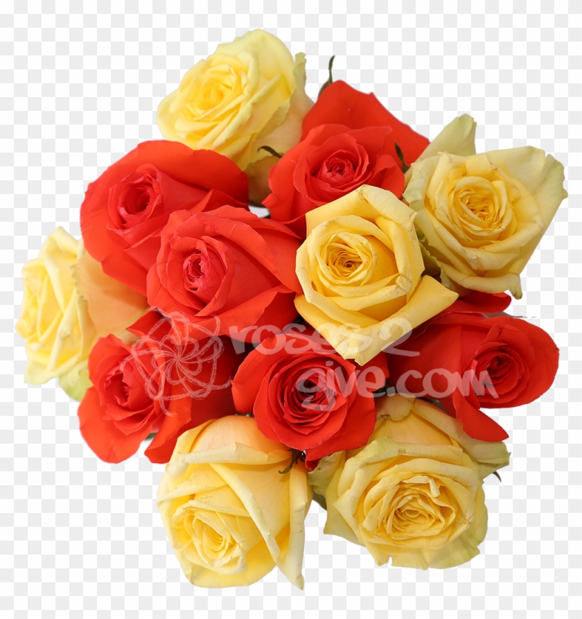 Unhibited Her Feelings With A Sensual Yellow - Yellow #808465