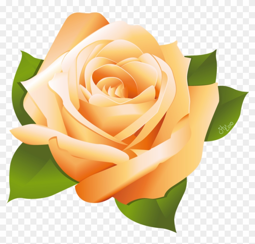 Rose Vector By Stoobainbridge Rose Vector By Stoobainbridge - Yellow Rose Vector Png #808607
