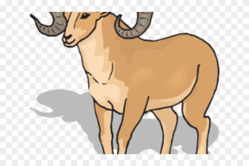 Dall Sheep Clipart - Ram Clip Art #808666