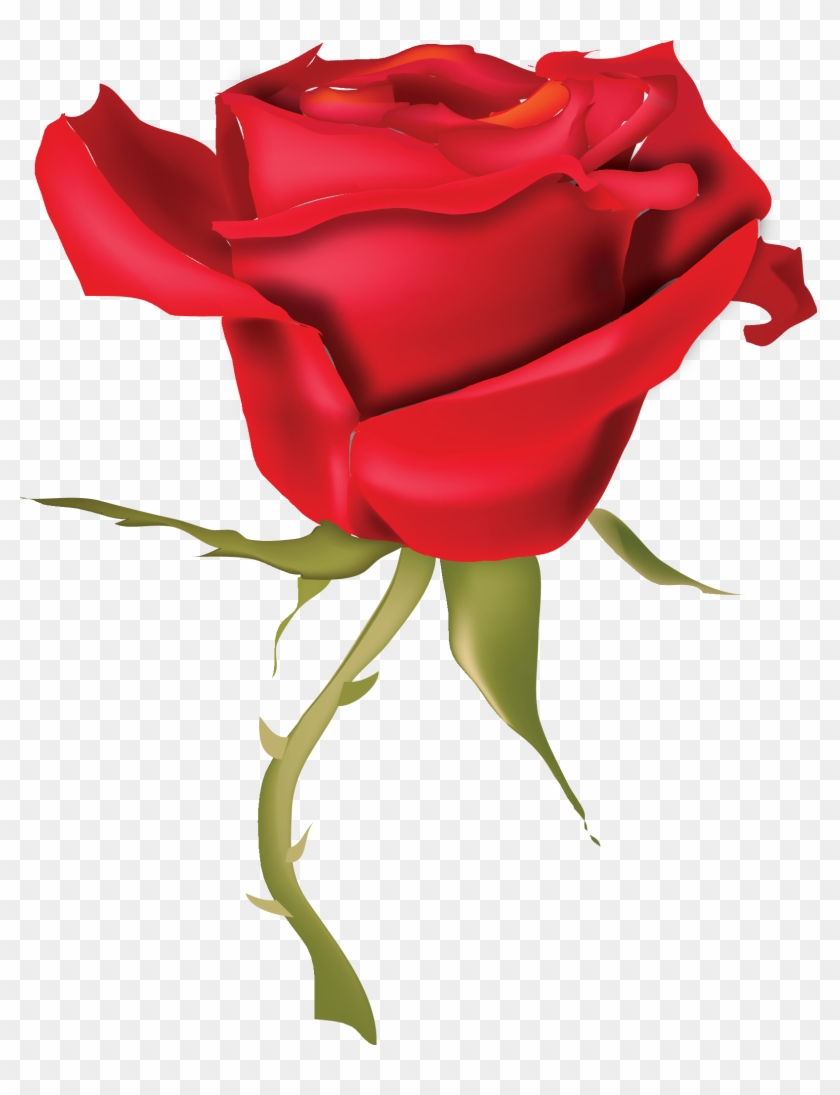 Rose Drawing Clip Art - Rose Drawing Clip Art #808896