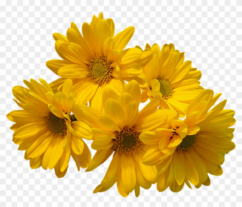 Yellow Flowers Bouquet Png Transparent Image - Yellow Flowers Transparent Background #809044