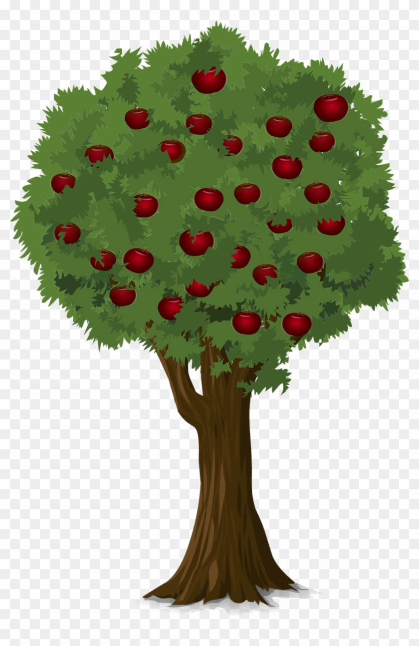 Tree Apple Apple Tree Nature Png Image - Arvore De Maça Png #809052