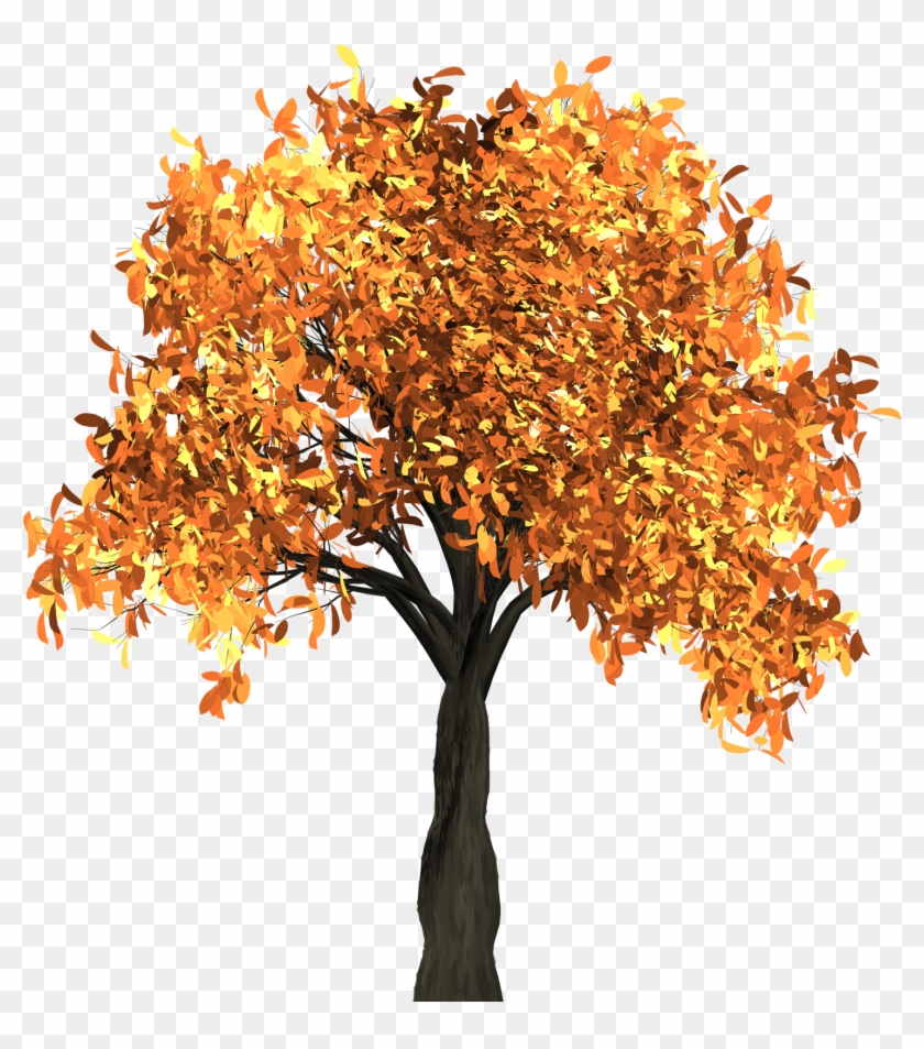 Apple Tree Has Yellow Leaves Download - Fall Tree Transparent Background #809110