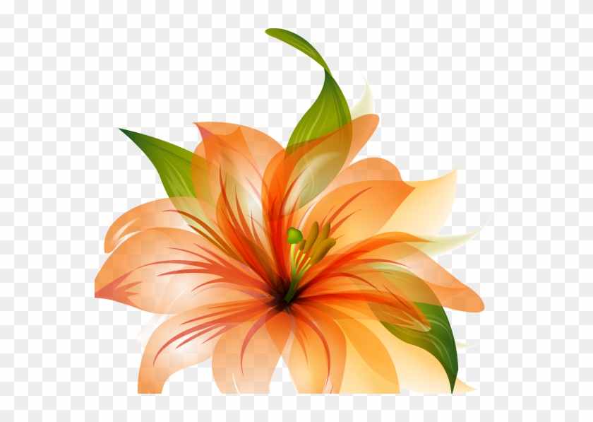 Flower Vector Hq Png By Cherryproductionsorg - Orange Lily Flower Shower Curtain #809209