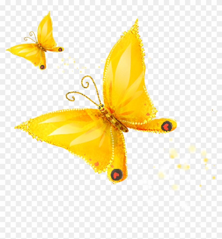 Butterfly Drawing Cartoon - Yellow #809519