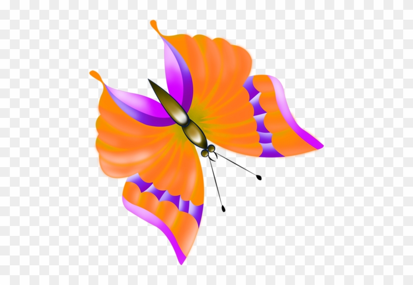 Missis - Berina - Butterfly #809559