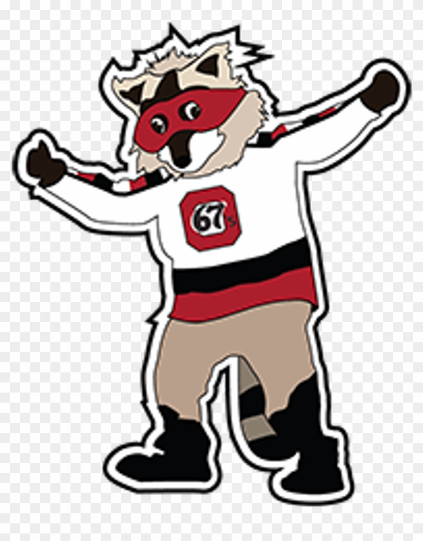 Riley - Ottawa 67s Mascot #809577