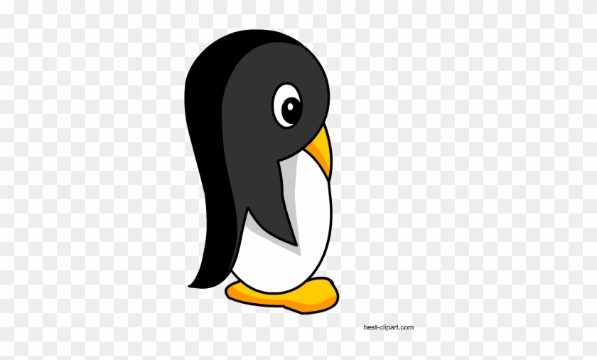 Penguin, Free Clip Art Image - Clip Art #809840