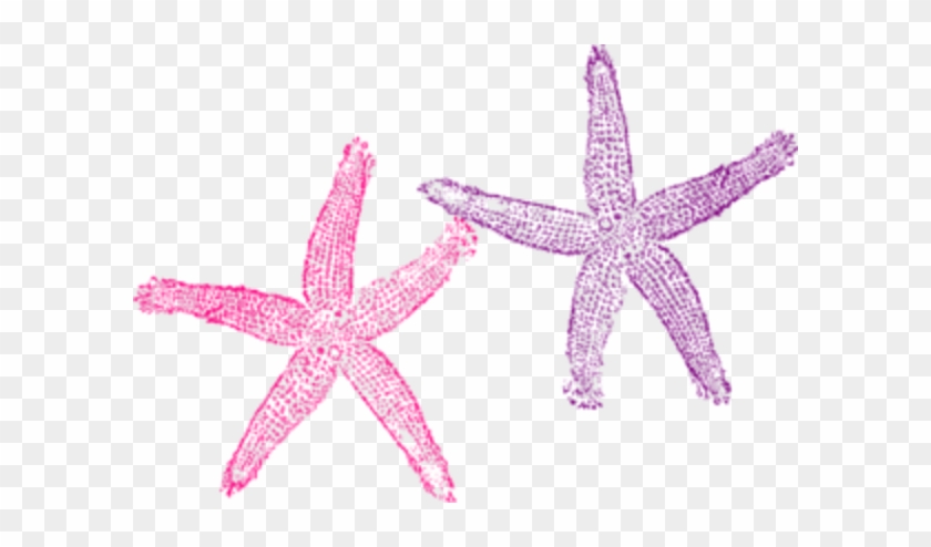 Clip Arts Related To - Starfish Graphics #809853