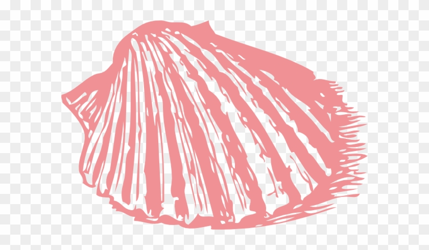 Shell Clipart Coral - Shell Clip Art #809881
