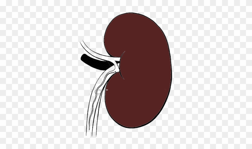 One Drop Of Urine - Circle #809918