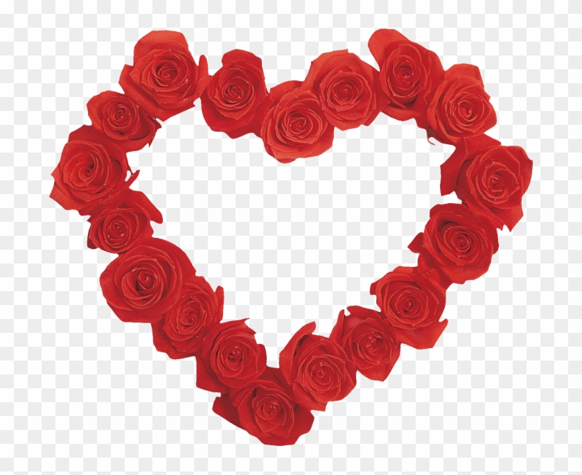 Garden Roses Heart Valentine's Day Clip Art - Garden Roses Heart Valentine's Day Clip Art #810542