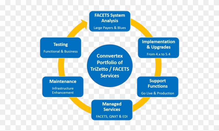 Connvertex Operations For Facets Platform - Coaching Process Model #810595