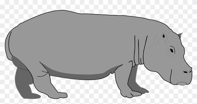 Manatee Clipart - Gambar Kartun Kuda Nil #810792