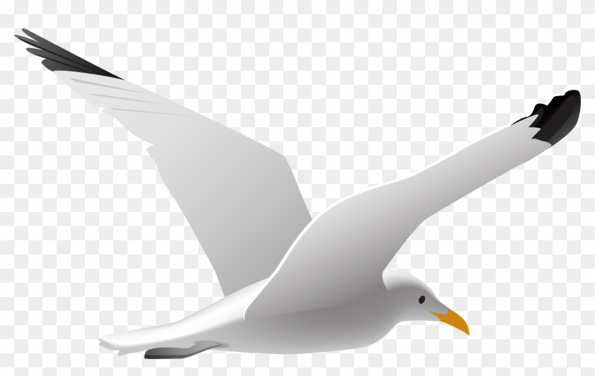 Sea Gull Clipart - Seagull Clipart #810799