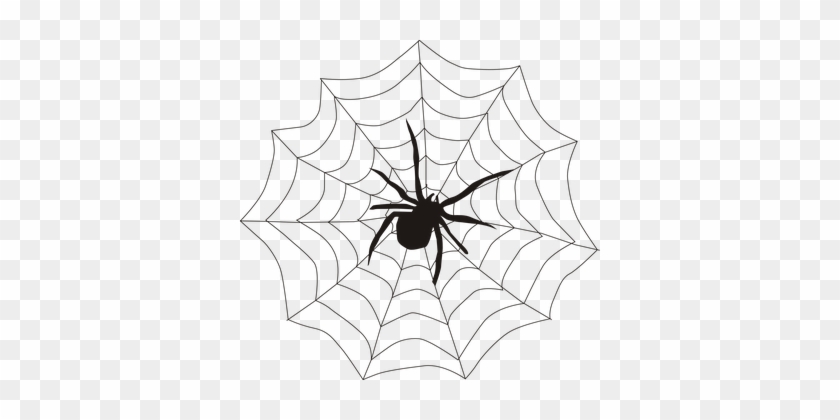 Spider Spider's Web Spiderweb Cobweb Creep - Spider On Web Clipart #810944