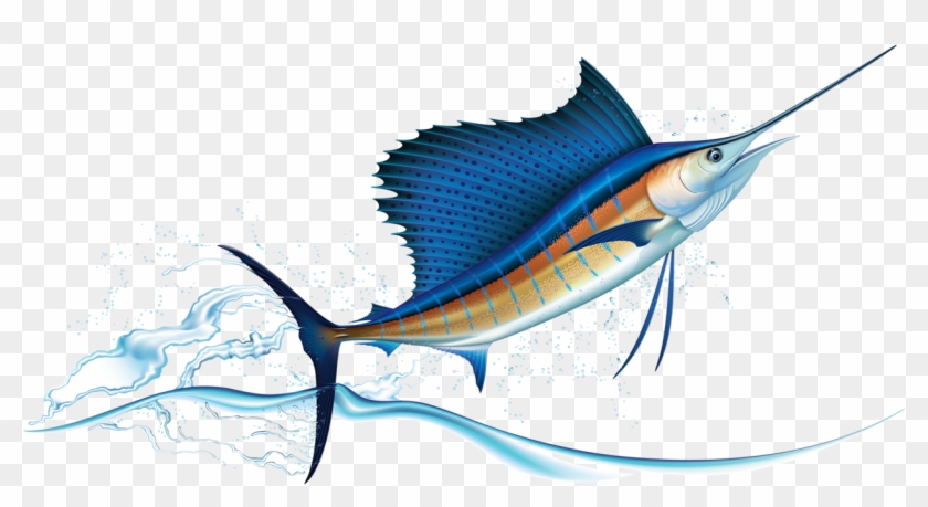 Яндекс - Фотки - Sailfish Vector #810974