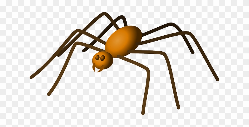 Spiders - Daddy Long Legs Clipart #810992