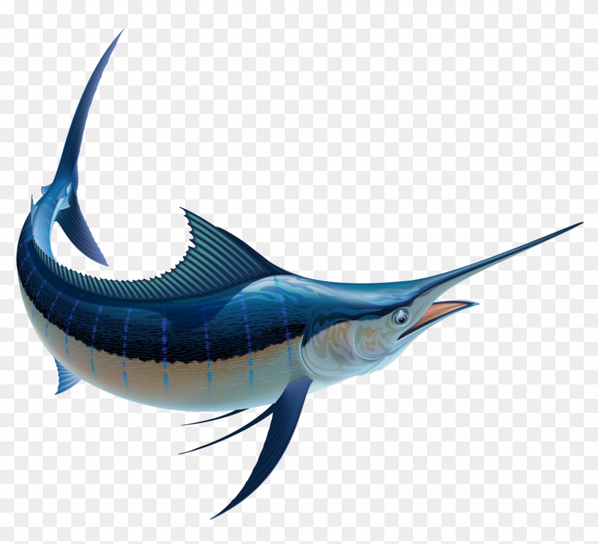 Яндекс - Фотки - Marlin Fish Illustration #811013