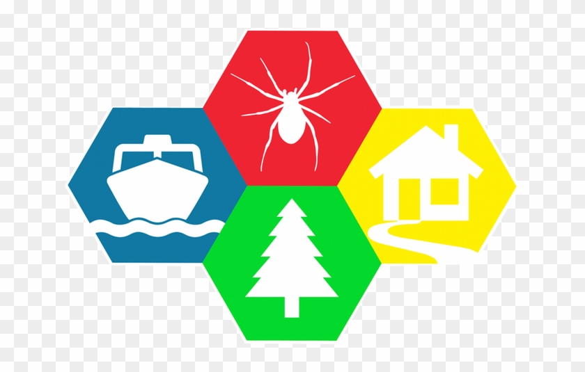 Emblem - Free Transparent PNG Clipart Images Download