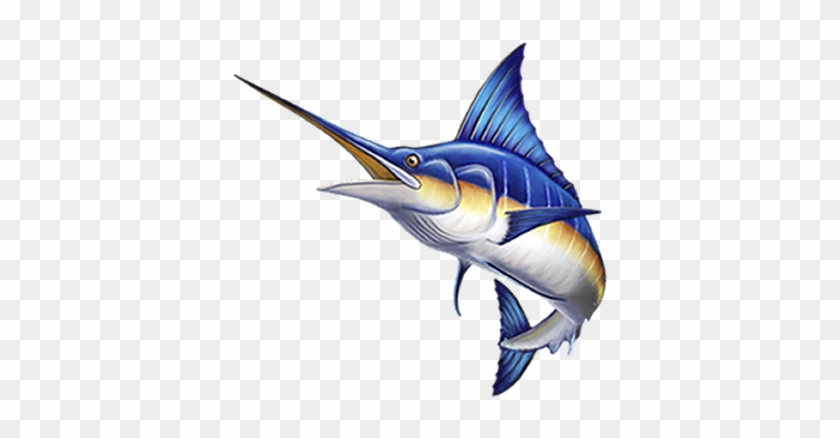 Endereço E Dados Da Empresa - Atlantic Blue Marlin #811027