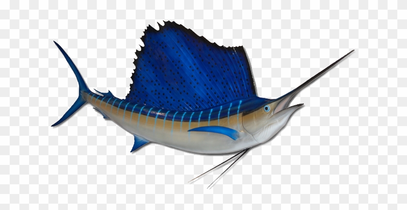 Sail Fish Blue Marlin - Fishing Boat - Free Transparent PNG