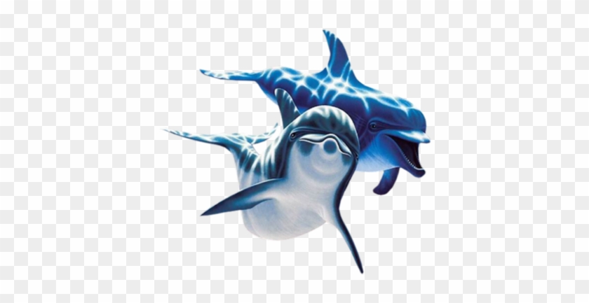 Golfinhos Png Made In Picsart By Hanjorafael - Dolphins Png #811231
