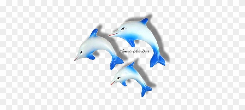 Cód-fa79 Trio Golfinhos 12 X 19 Cm - Common Bottlenose Dolphin #811304