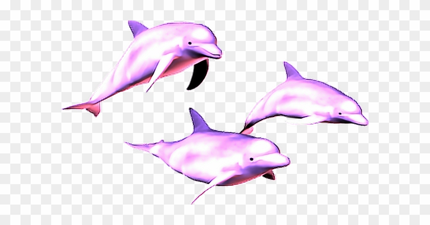 Delfines Rosa Vaporwave Vaporware Aesthetic - Vaporwave Dolphin Png #811322