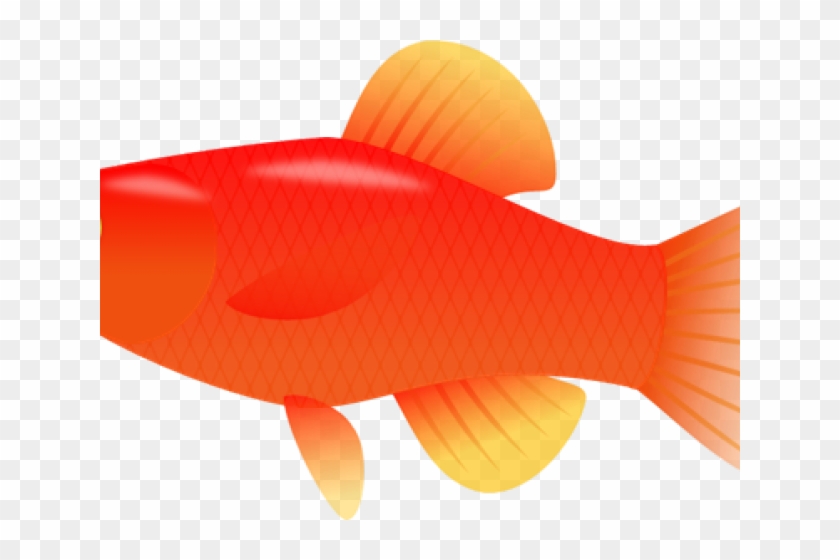 Fish Clipart Clear Background - Snapper #811434