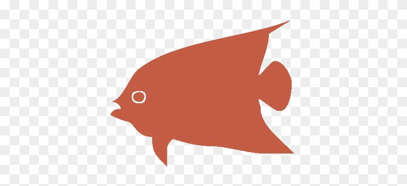 Garibaldi (fish) #811559