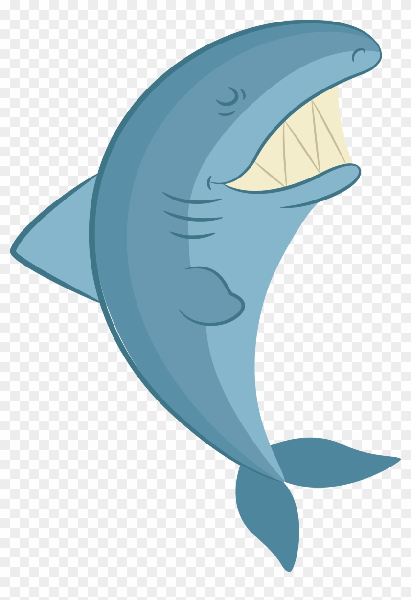 Shark Common Bottlenose Dolphin Tucuxi - Shark Common Bottlenose Dolphin Tucuxi #811597