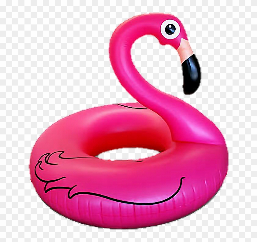 Flamingo Inflatable Pool Summer - Flamingo Pool Party Png #811672
