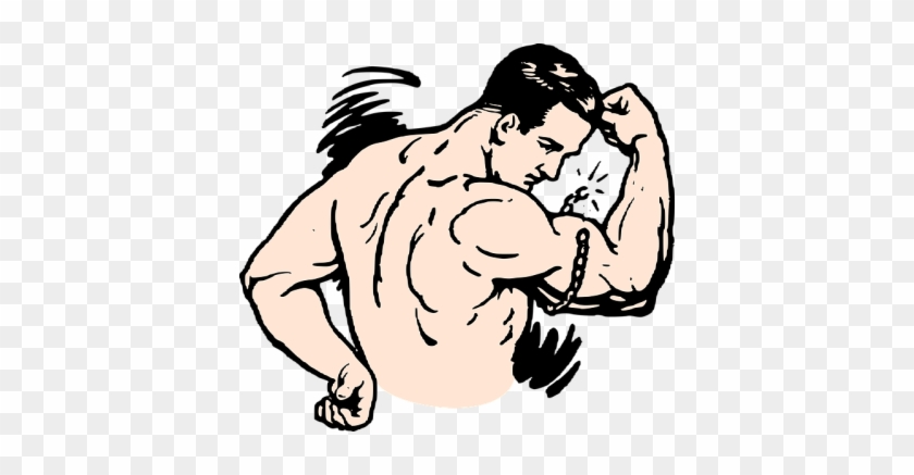 Muscles Clipart #811935