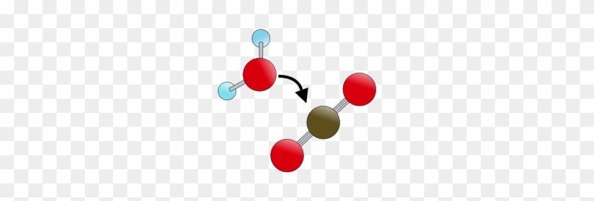 Bicarbonate Ion - Ping Pong #811981