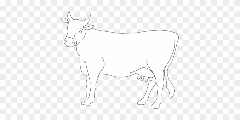 Cow, Cattle, Livestock, Farm, Animal - Cow Drawing Side View #812170