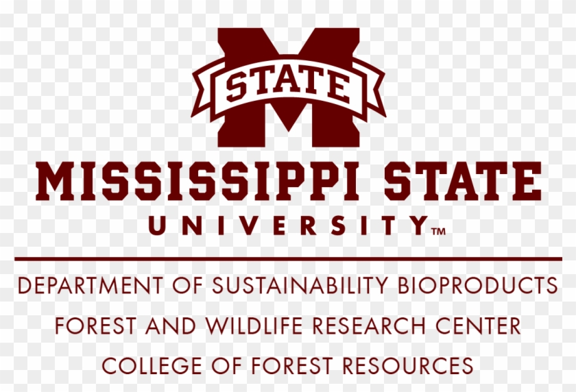 Horizontal Example - - Mississippi State University #812661