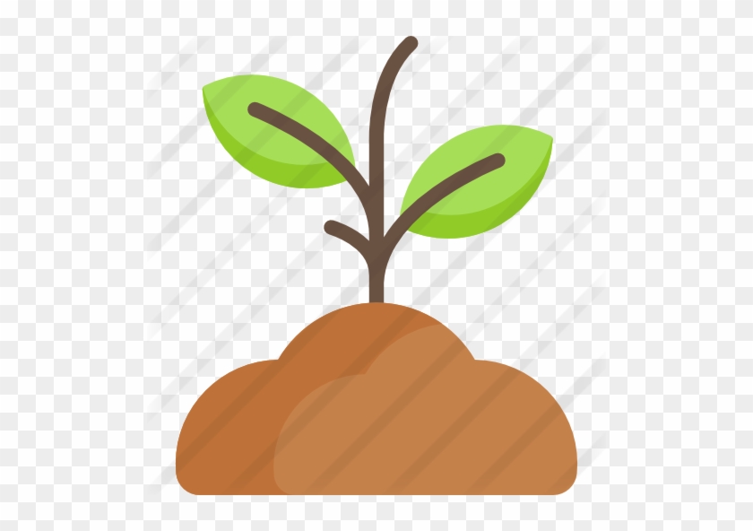 Sprout - Outbreak #813107