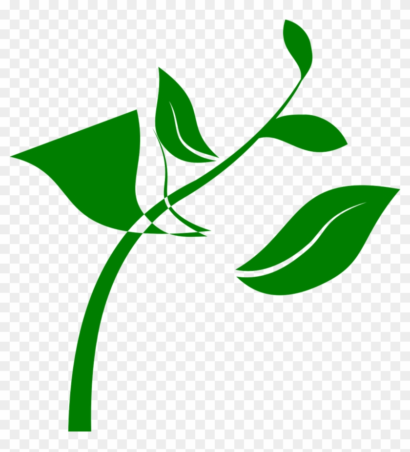 Seedling Plant Clip Art - Seedling Plant Clip Art #813119