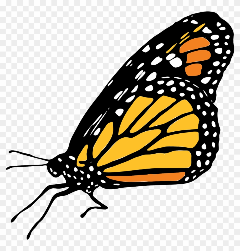 Monarch Butterfly Clip Art - Mariposa Monarca Png #813233