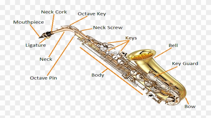 Adjusting Screws For Left And Right Hand Sections - Yamaha Yas-200ad Alto Saxophone #813320