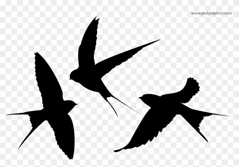 Swallows Vector Silhouettes - Silhouette #813397