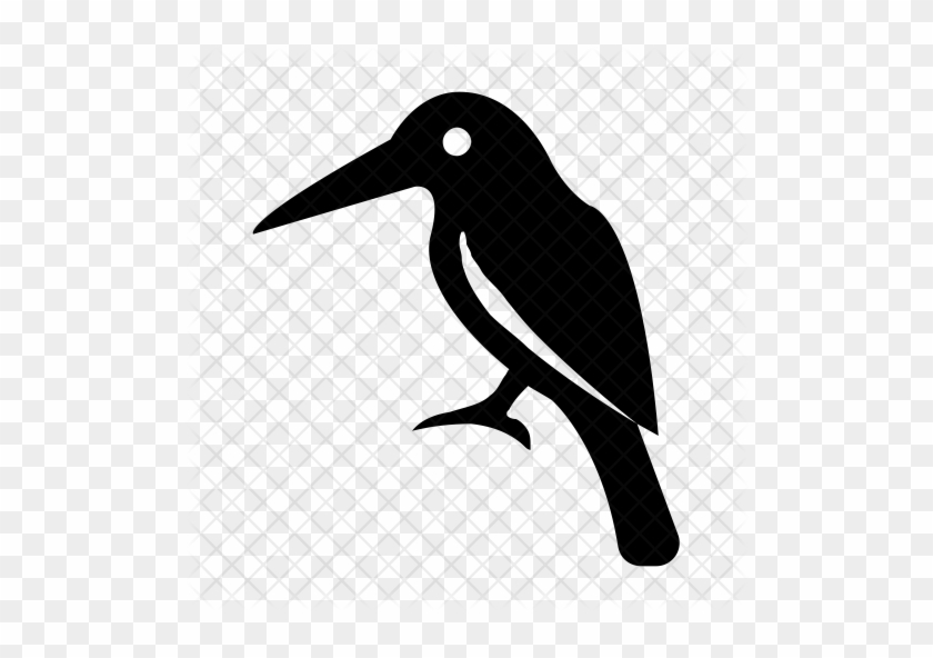 Bird Icon - Killer Whale #813403