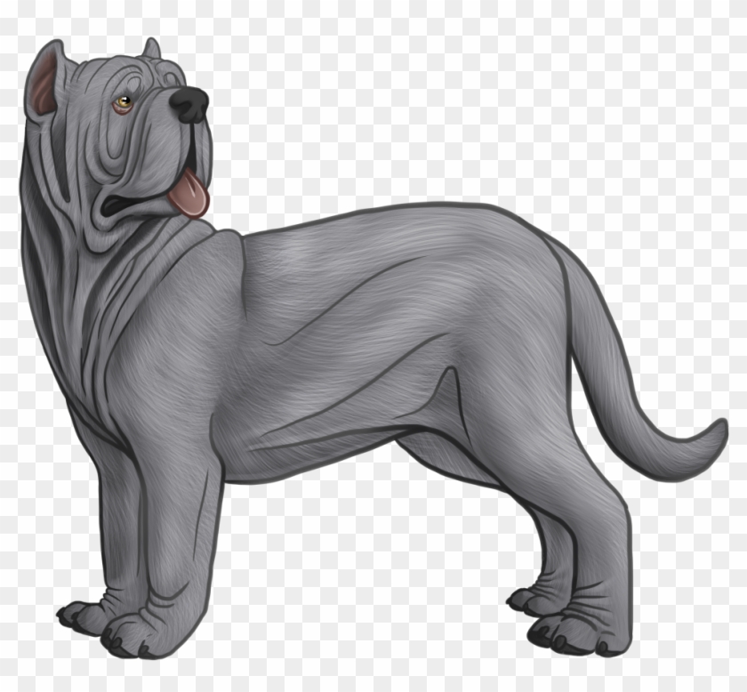 Neapolitan Mastiff Drawing - Neapolitan Mastiff #813426