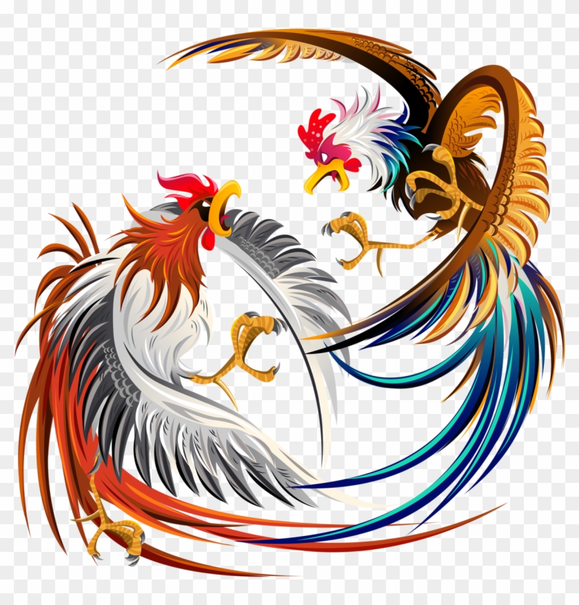 Cockfight Rooster Chicken Illustration - Fighting Cocks #813445