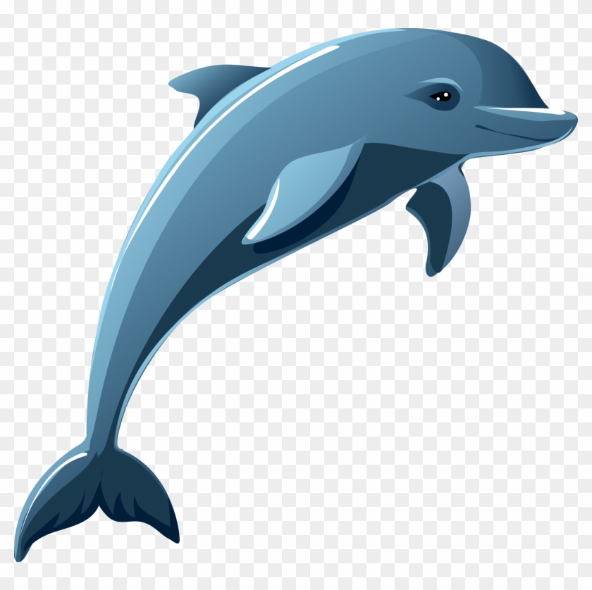 Dolphin Stock Photography Clip Art - Cartoon Dolphins #813583