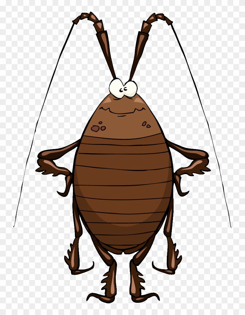 Cockroach Cartoon Stock Illustration Clip Art Cockroach - Funny Cockroach #813662