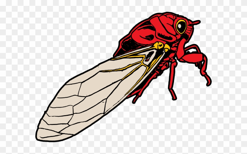 Cicada Bug Clip Art At Clkercom Vector Online Royalty - Cicada Clip Art #813667
