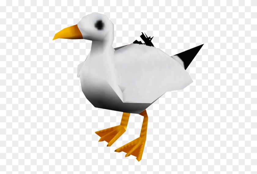 Seagull - Duck #813784