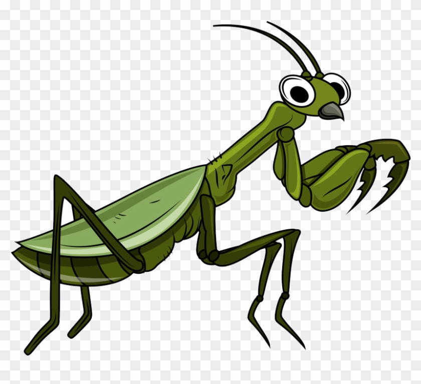 Grasshopper Cartoon Clip Art - Gafanhoto Desenho #813921